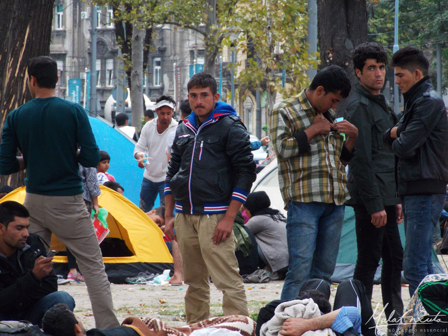 refugiados sírios Belgrado
