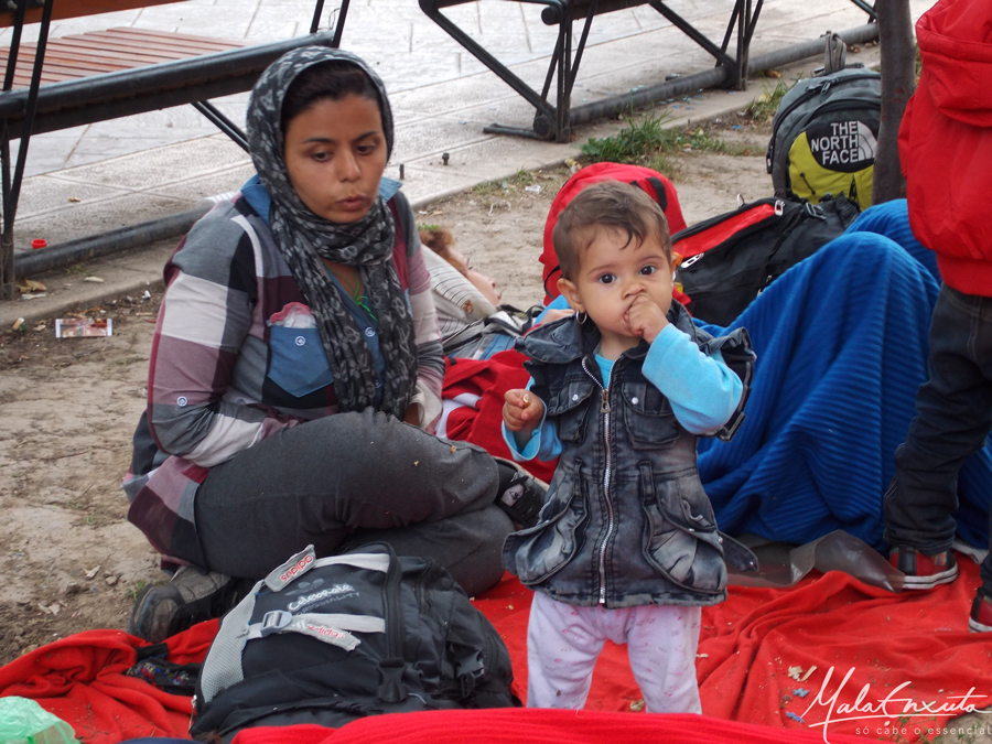 refugiado sírio Belgrado Sérvia
