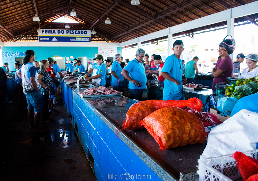 Mercado de peixes, Santarém, Pará
