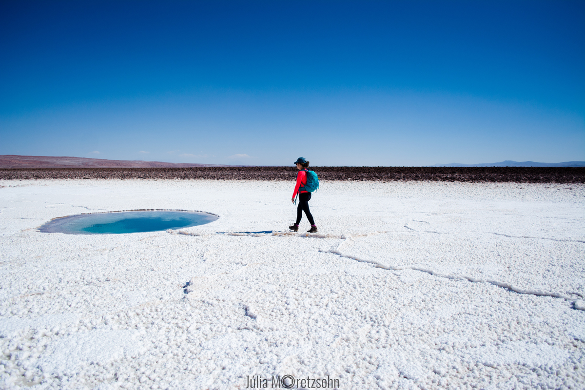 Lagunas Escondidas de Baltinache, Atacama, Chile.