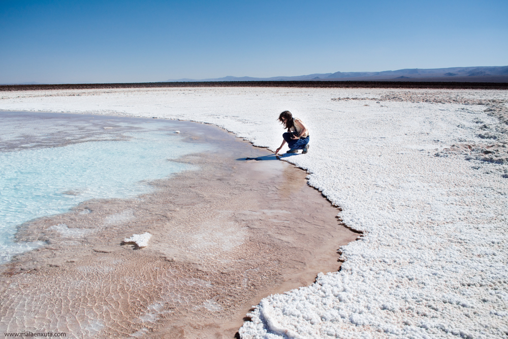 Laguna Escondida de Baltinache, Deserto do Atacama, Chile.