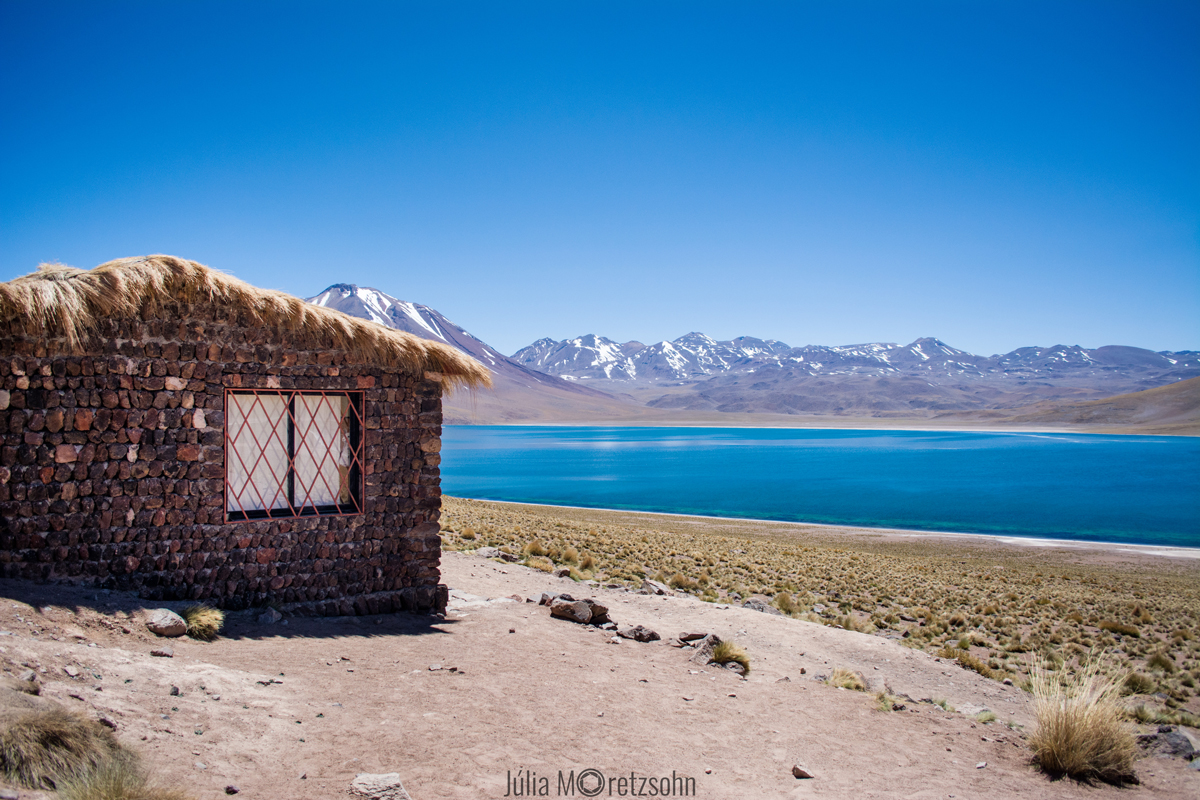 Laguna Miscanti, Atacama, Chile (Foto: Júlia Moretzsohn)