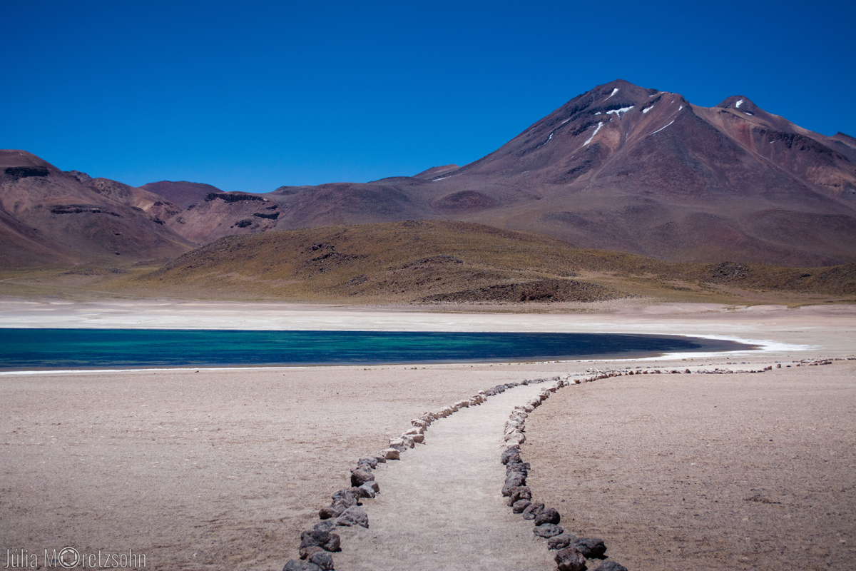 Laguna Miscanti, Atacama, Chile (Foto: Júlia Moretzsohn)