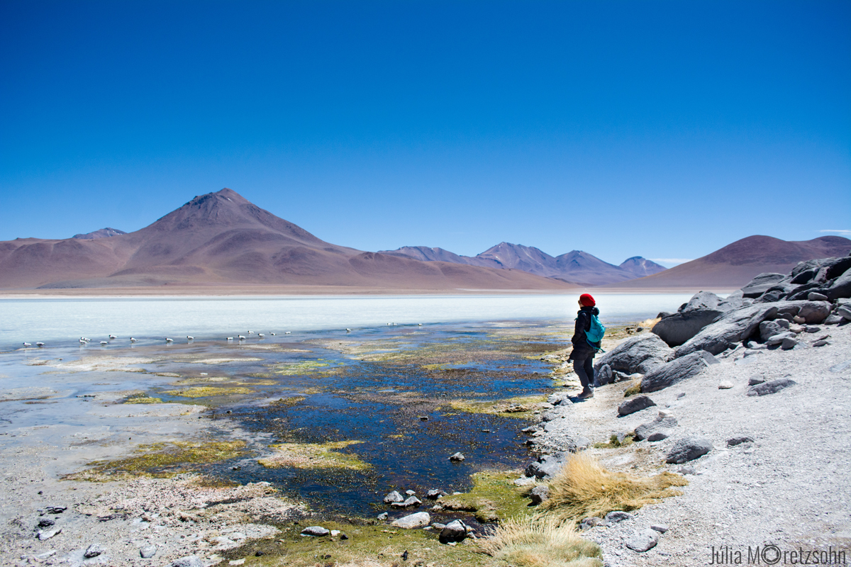 Laguna Blanca, Deserto de Siloli, Bolivia (Foto: Júlia Moretzsohn)