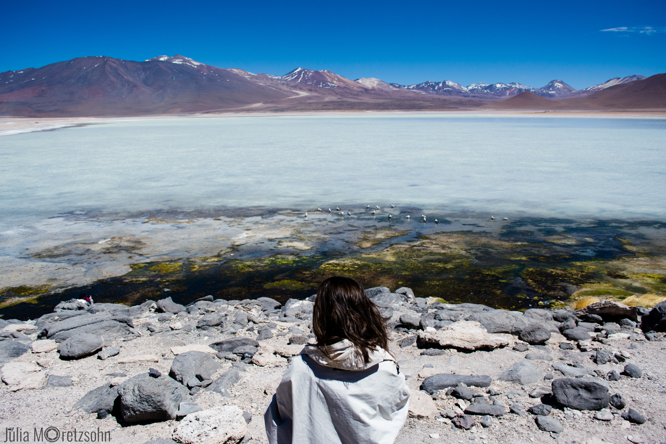 Laguna Blanca, Deserto de Siloli, Bolivia 