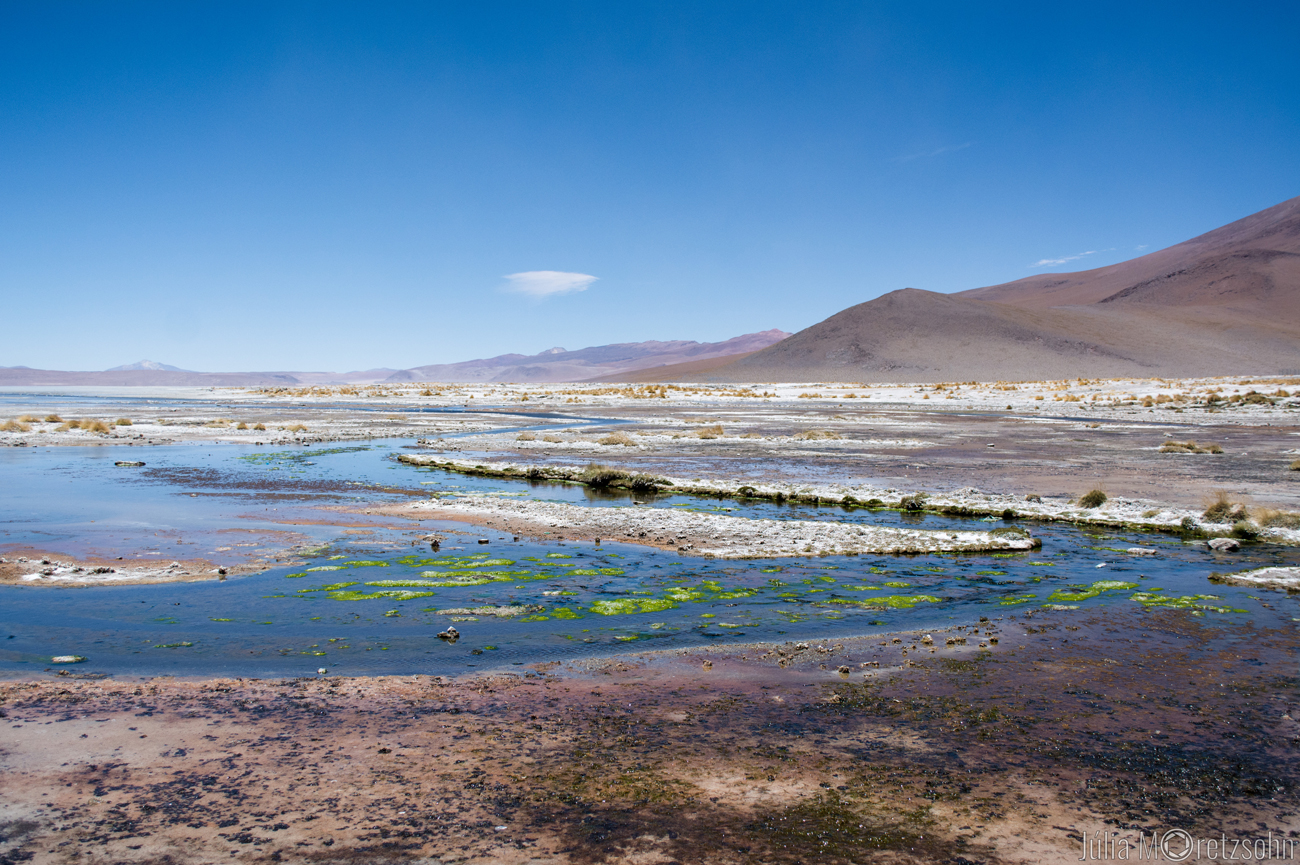 Laguna Salada, Deserto do Siloli, Bolivia
