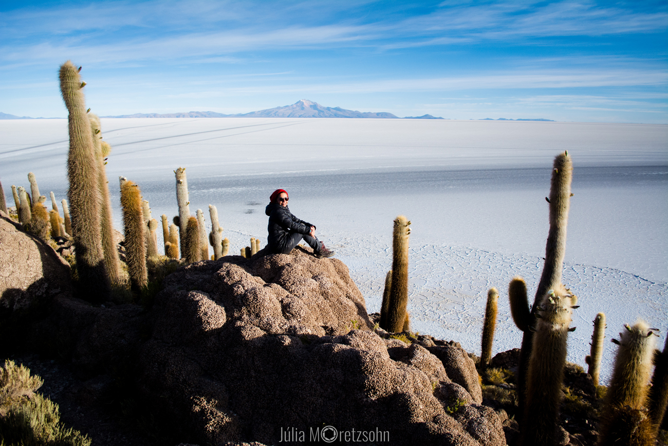 Isla Incahuasi, Salar de Uyuni ou Thunupa, Bolivia