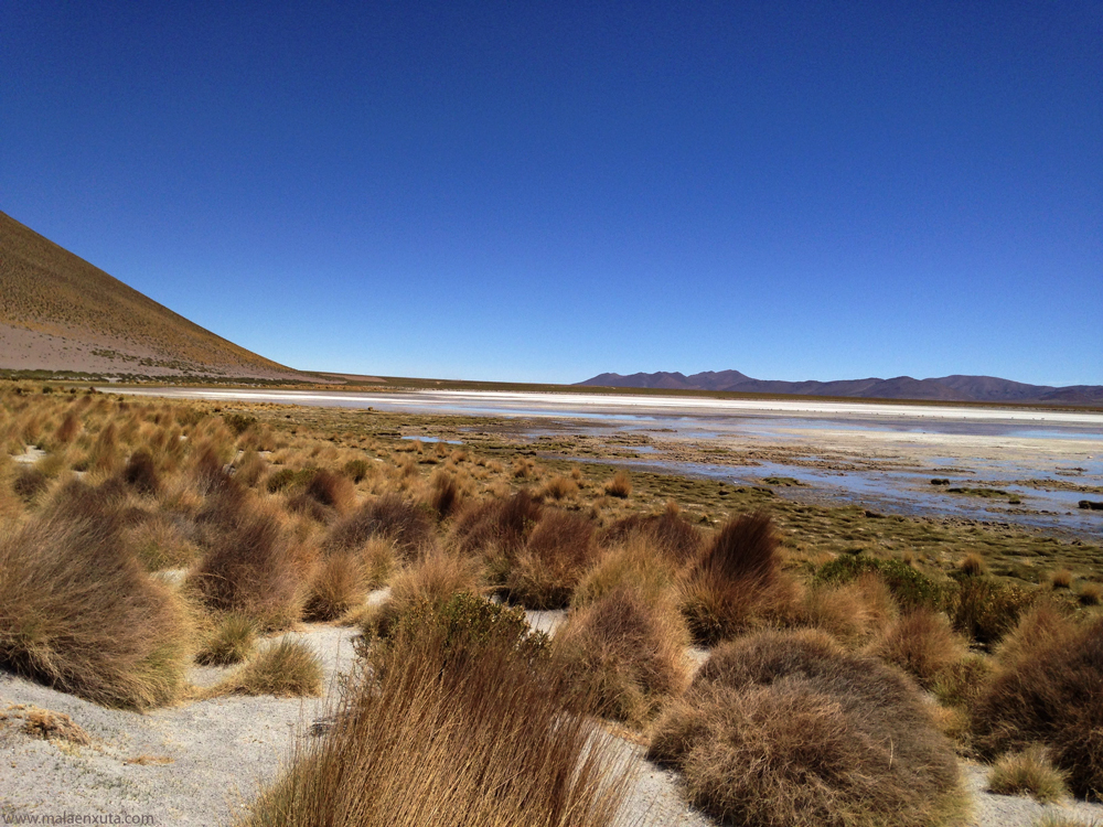 Laguna Vinto, Deserto de Silole, Bolivia